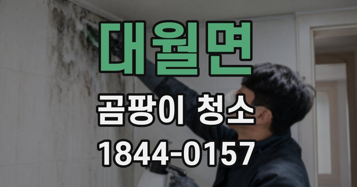 대월면 곰팡이 청소