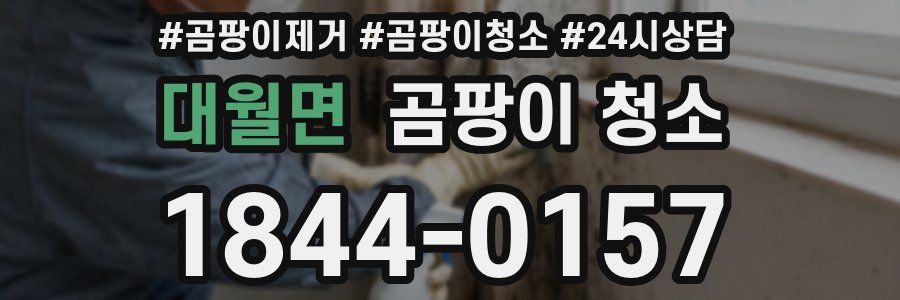 대월면 곰팡이 청소