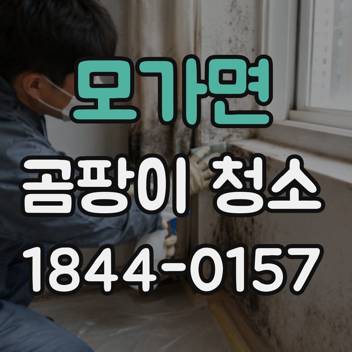 모가면 곰팡이 청소 베란다 창틀과 실리콘을 함께 살피는 법