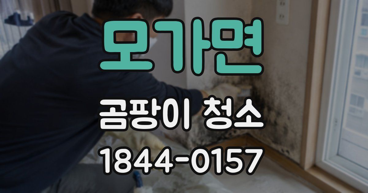 모가면 곰팡이 청소