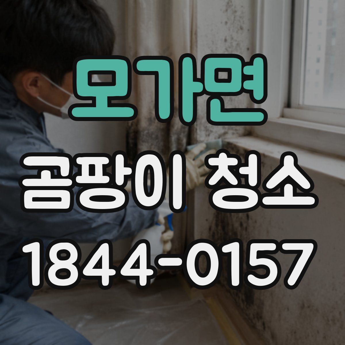 모가면 곰팡이 청소