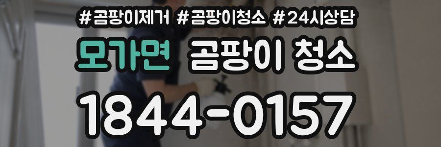 모가면 곰팡이 청소
