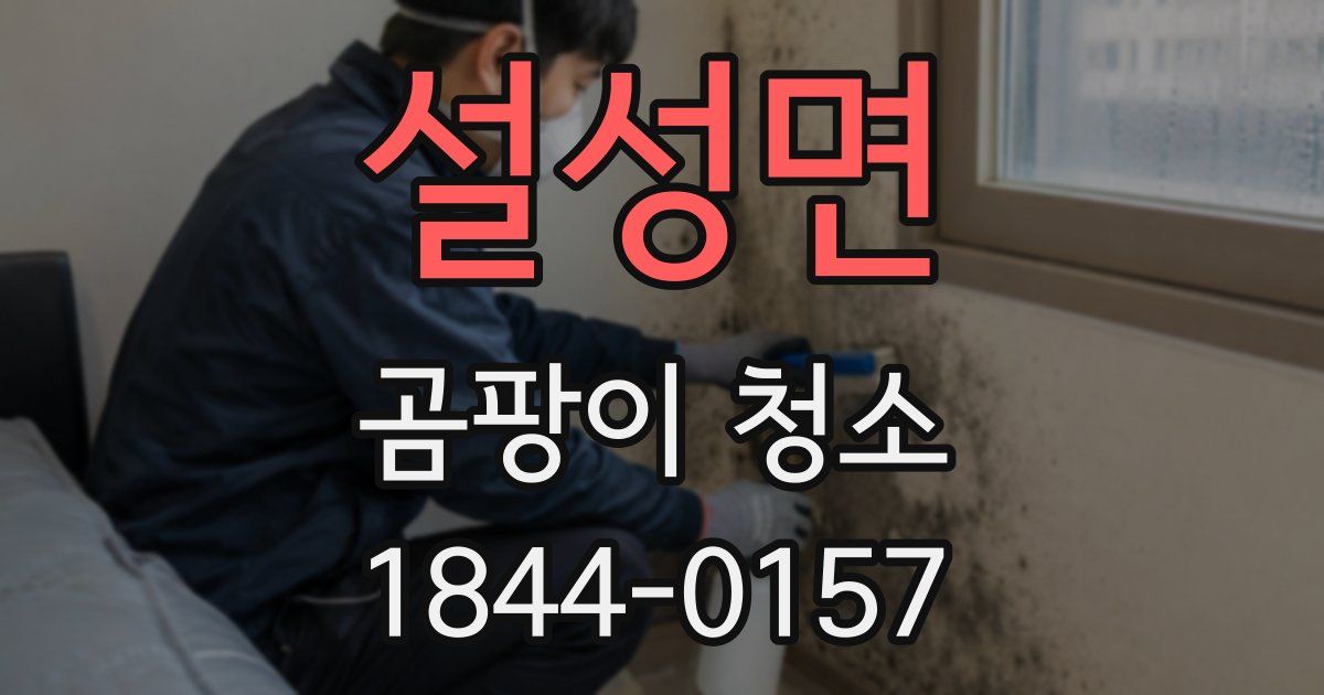설성면 곰팡이 청소