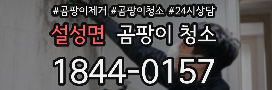 설성면 곰팡이 청소