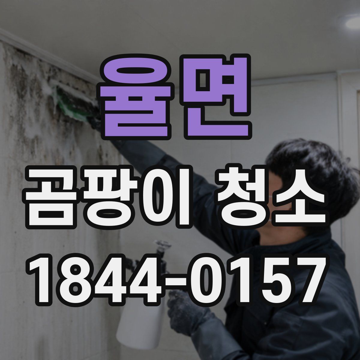 율면 곰팡이 청소