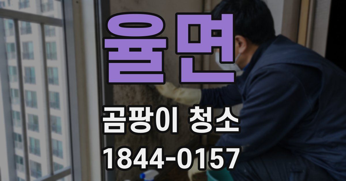 율면 곰팡이 청소