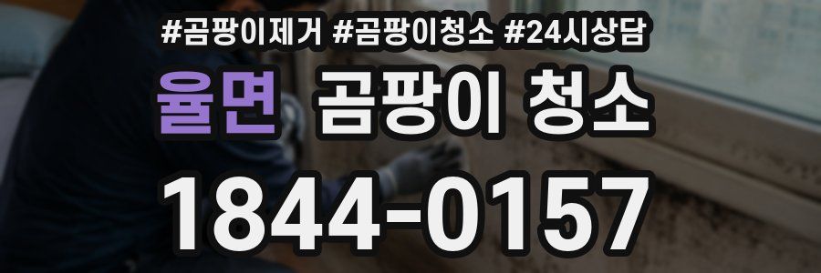 율면 곰팡이 청소