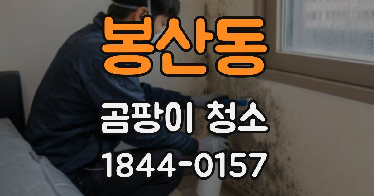 봉산동 곰팡이 청소