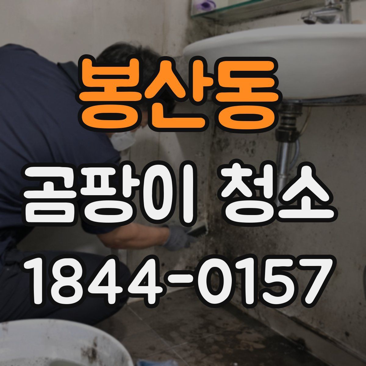 봉산동 곰팡이 청소