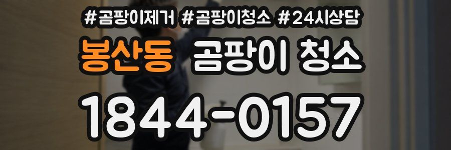 봉산동 곰팡이 청소
