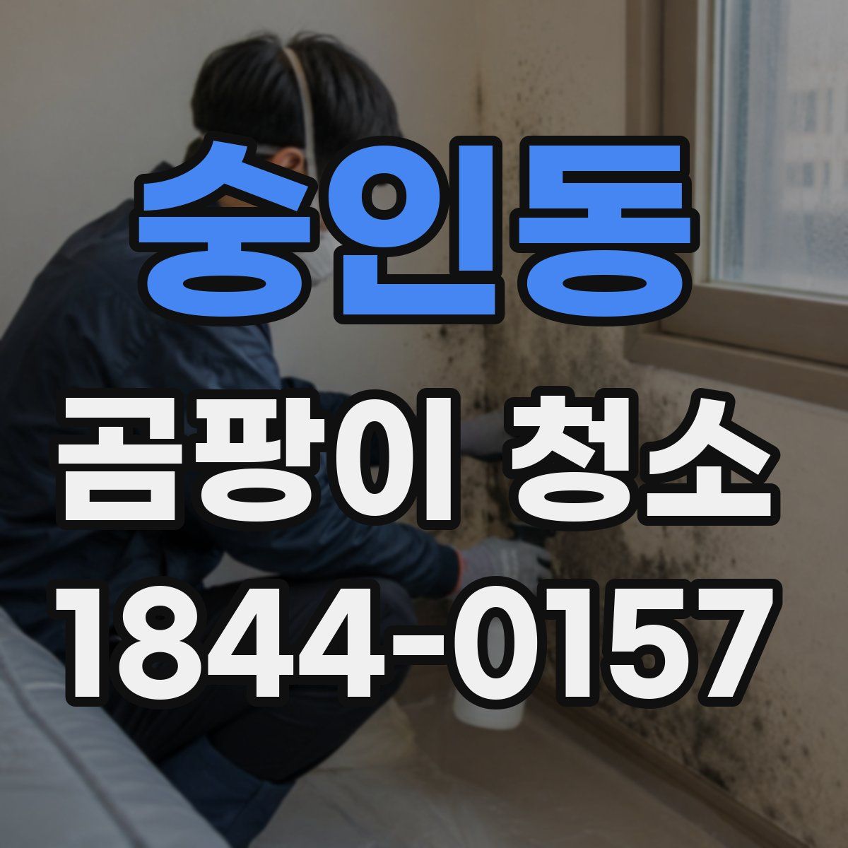 숭인동 곰팡이 청소