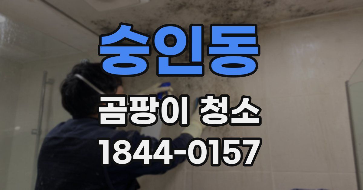 숭인동 곰팡이 청소