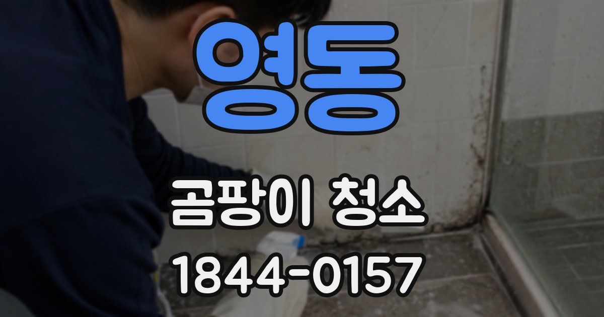 영동 곰팡이 청소