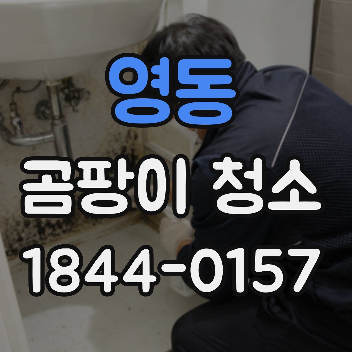 영동 곰팡이 청소