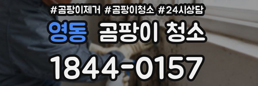 영동 곰팡이 청소