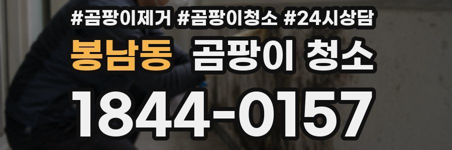 봉남동 곰팡이 청소