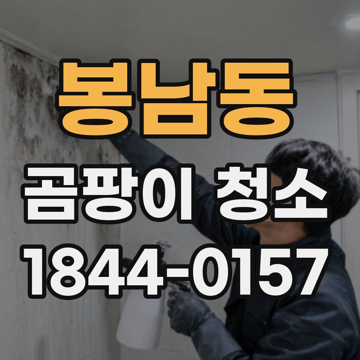 봉남동 곰팡이 청소