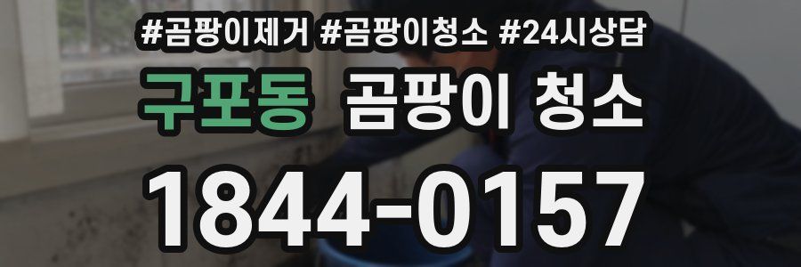 구포동 곰팡이 청소