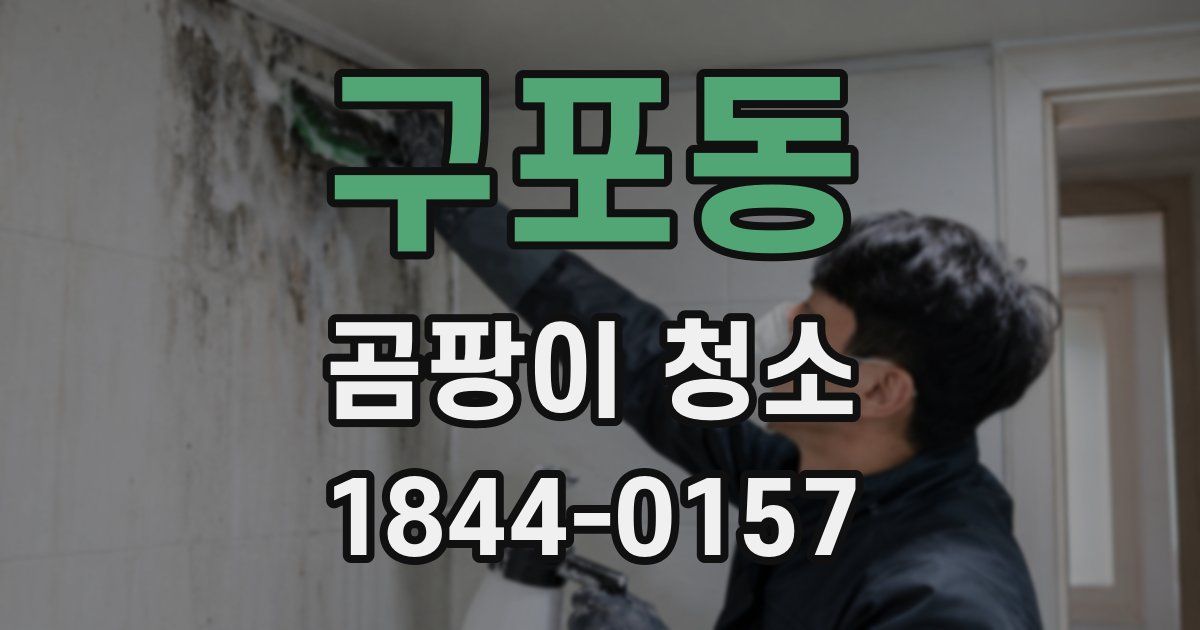 구포동 곰팡이 청소