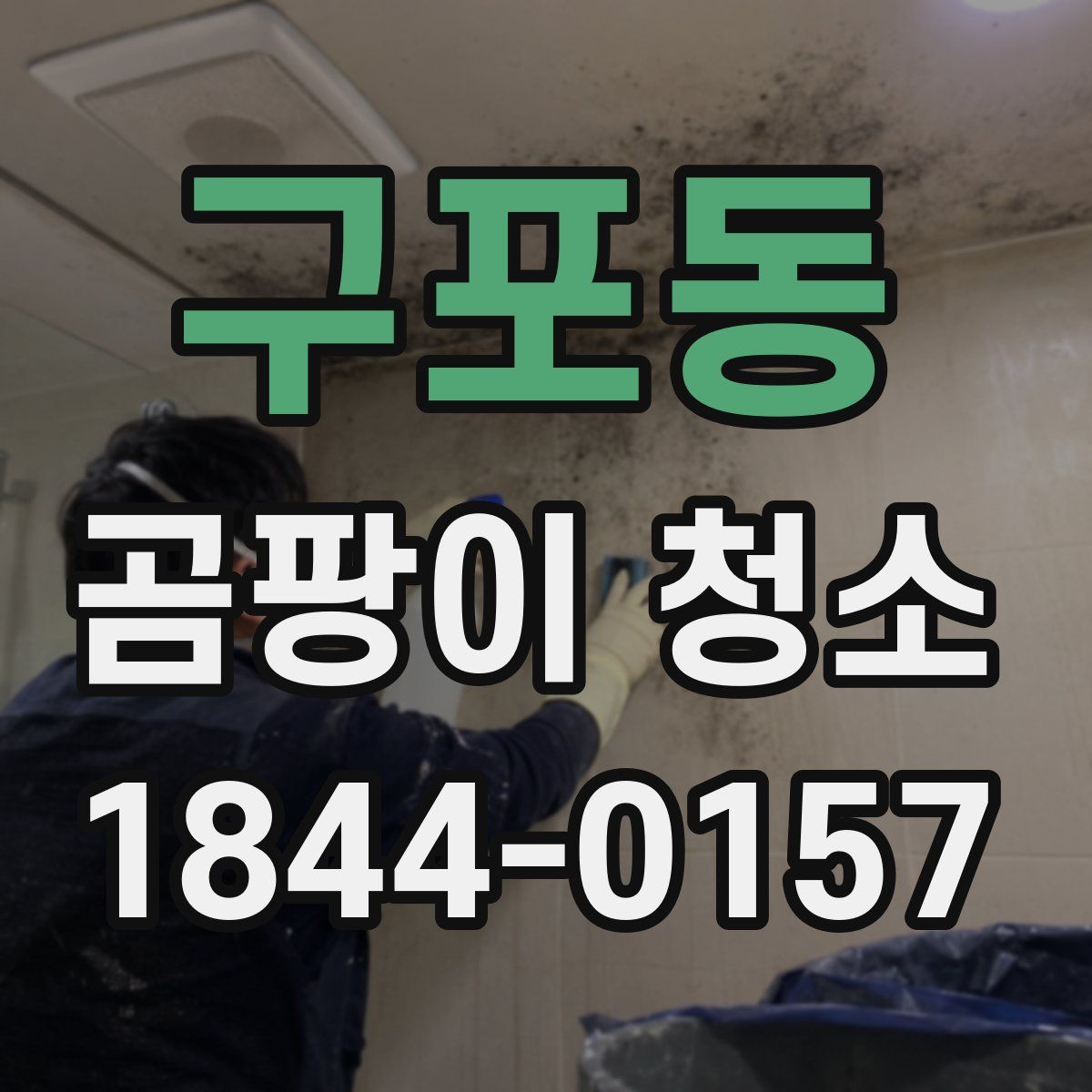 구포동 곰팡이 청소