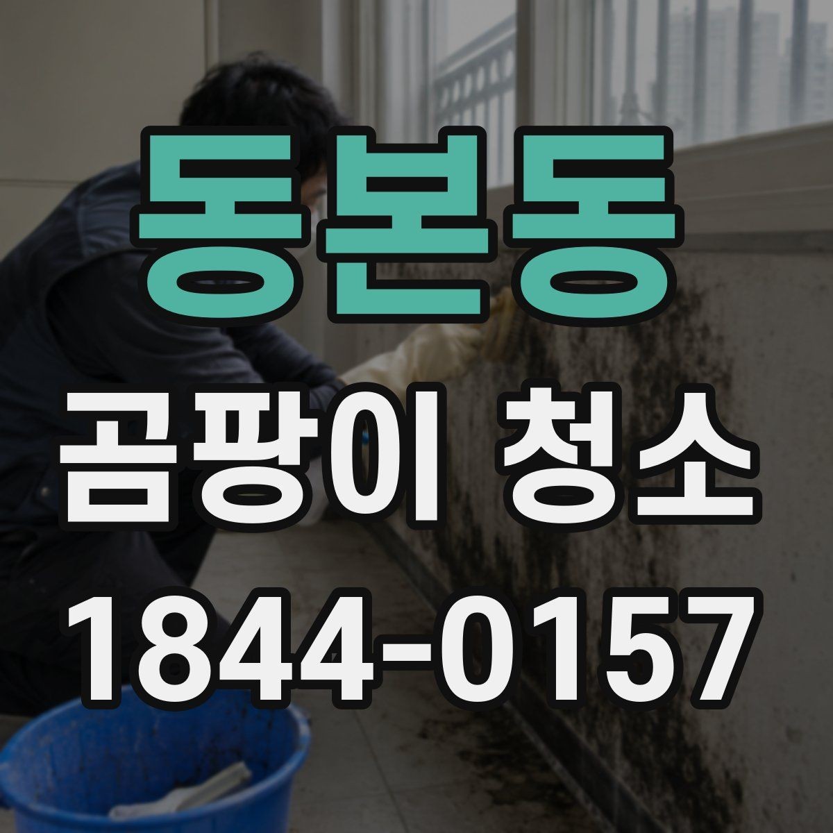 동본동 곰팡이 청소 포자 번짐을 막는 닦기 순서와 준비 방법