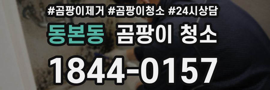 동본동 곰팡이 청소