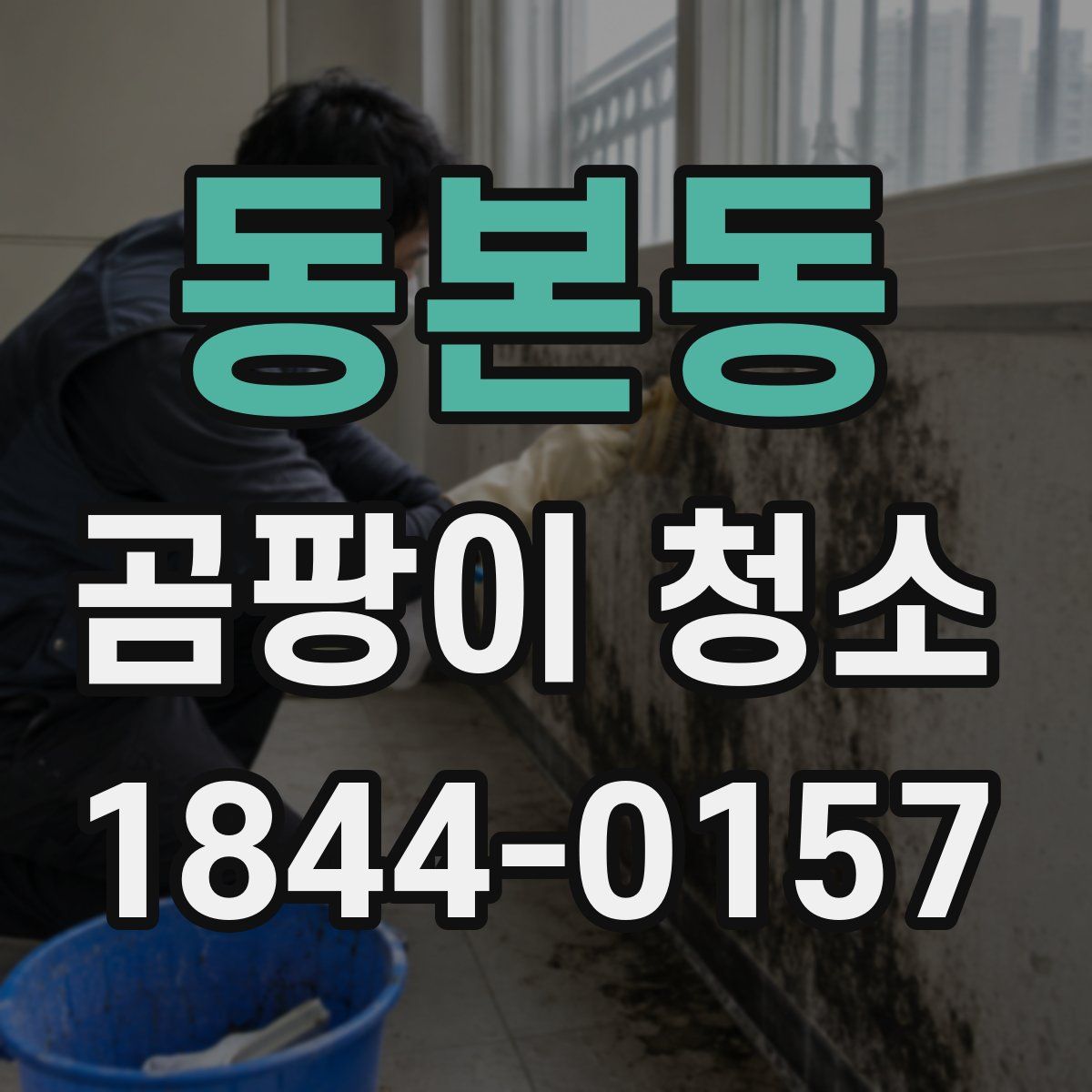 동본동 곰팡이 청소