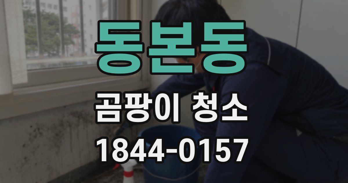 동본동 곰팡이 청소