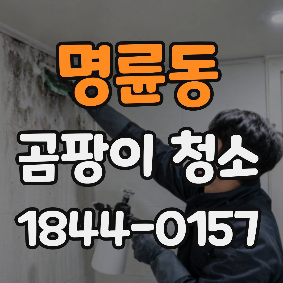 명륜동 곰팡이 청소