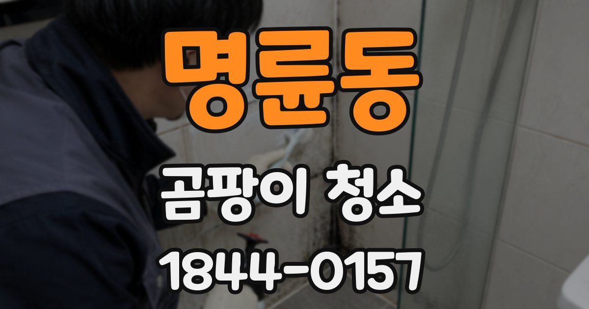 명륜동 곰팡이 청소
