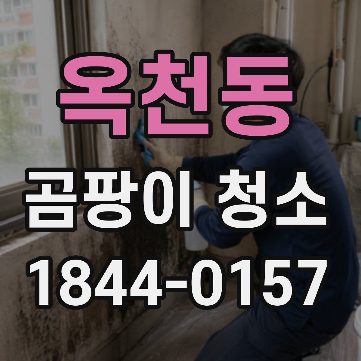 옥천동 곰팡이 청소