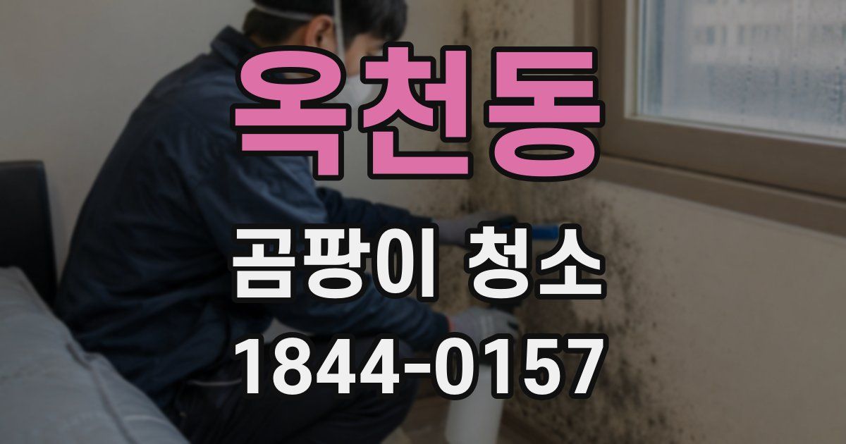 옥천동 곰팡이 청소
