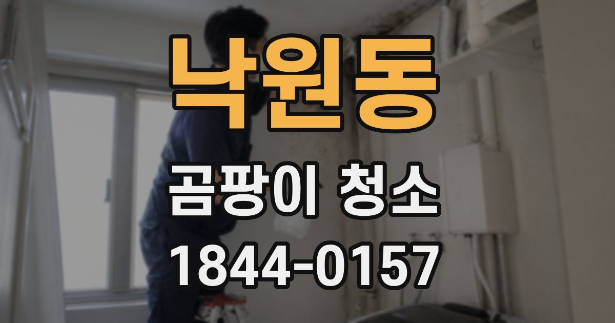 낙원동 곰팡이 청소