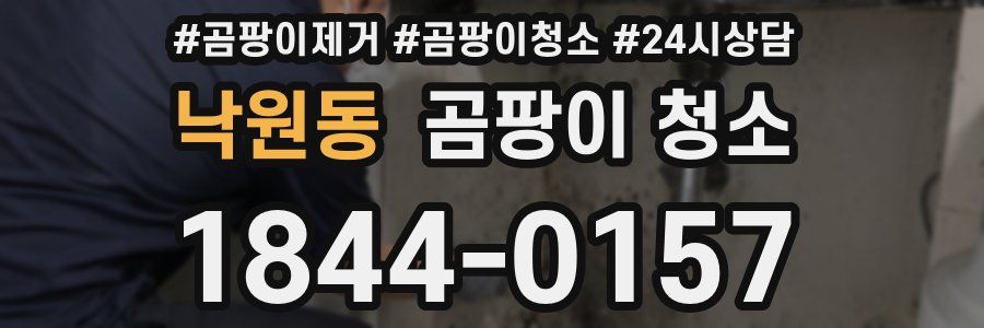 낙원동 곰팡이 청소