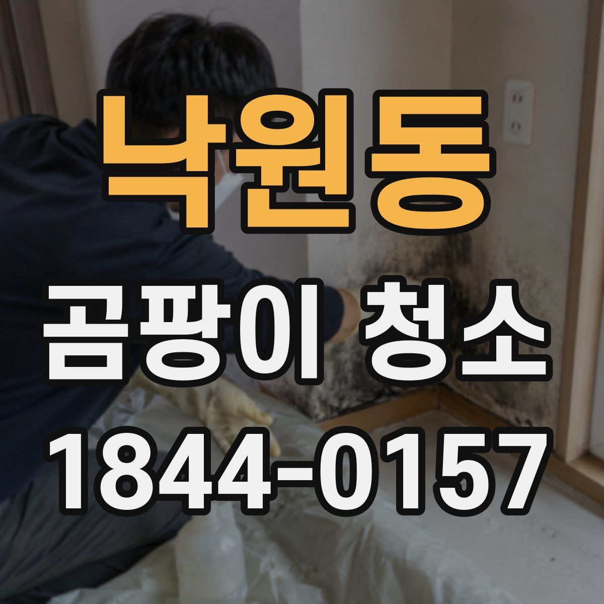 낙원동 곰팡이 청소