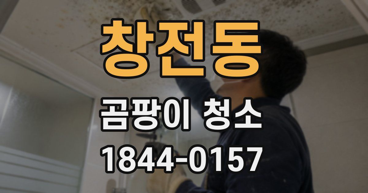 창전동 곰팡이 청소