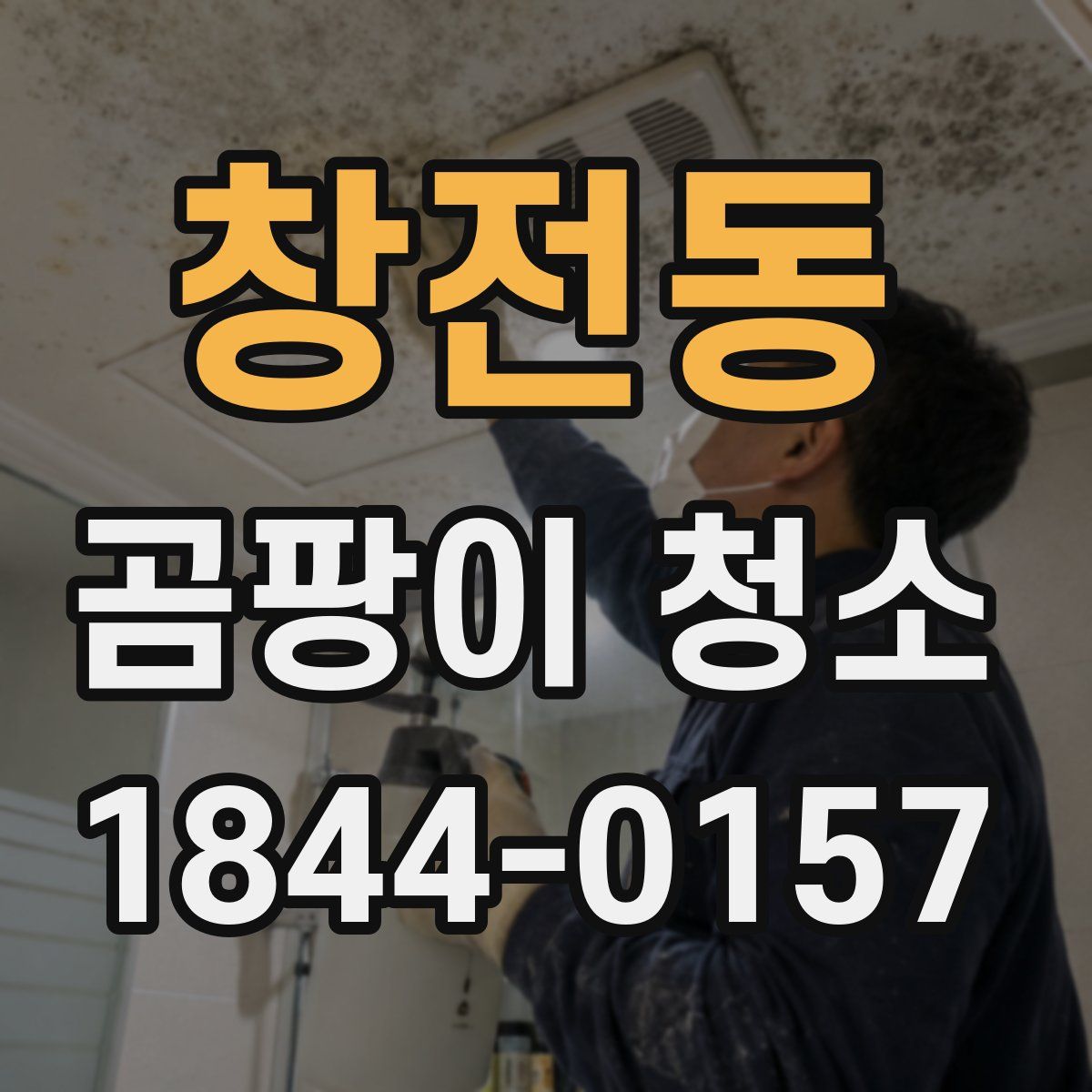 창전동 곰팡이 청소