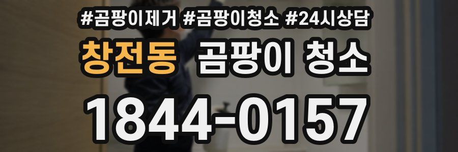 창전동 곰팡이 청소