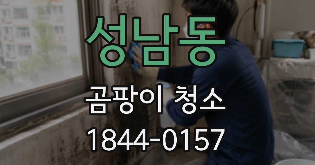 성남동 곰팡이 청소