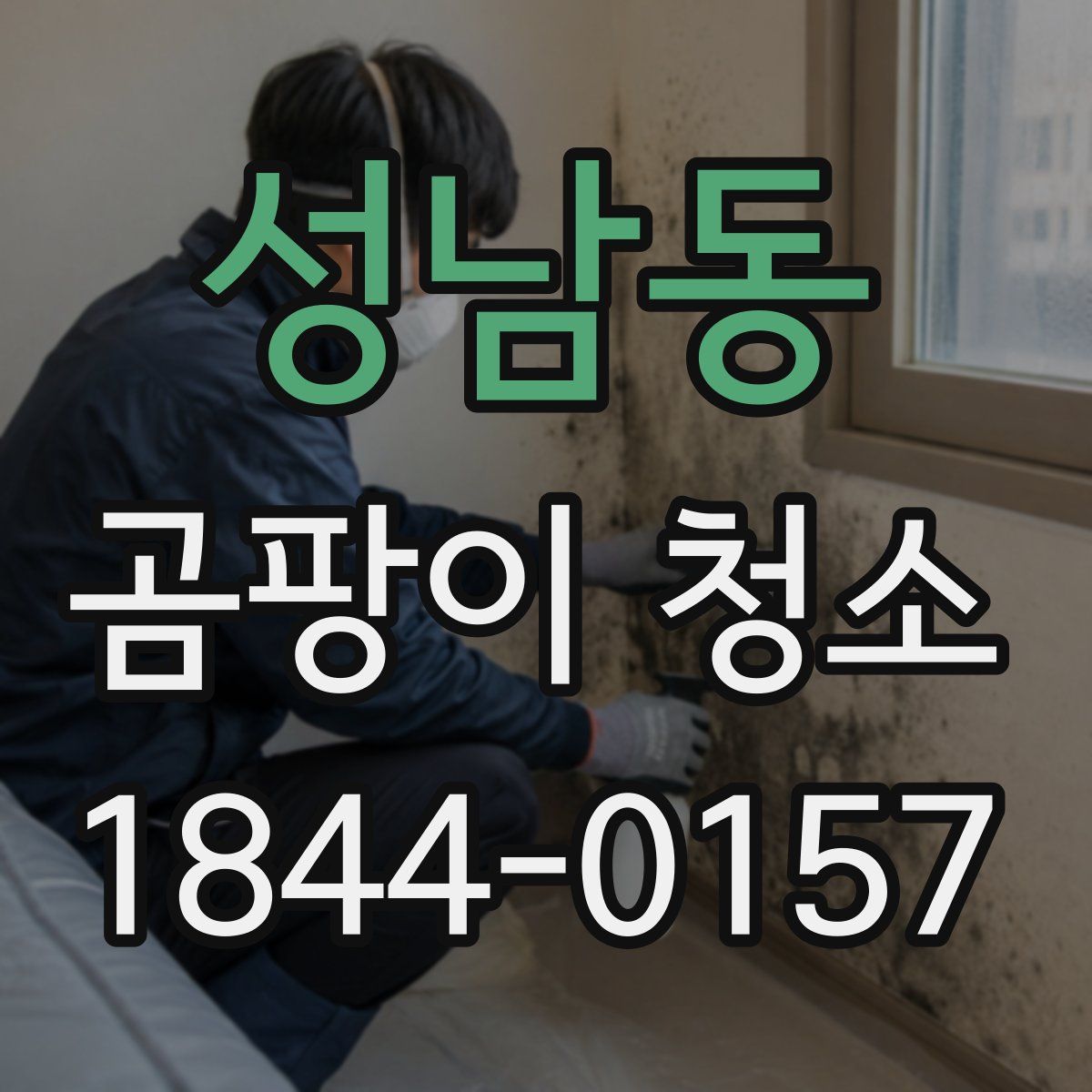 성남동 곰팡이 청소