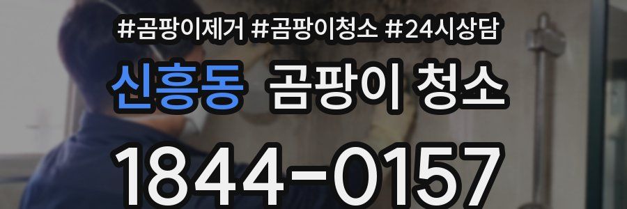 신흥동 곰팡이 청소
