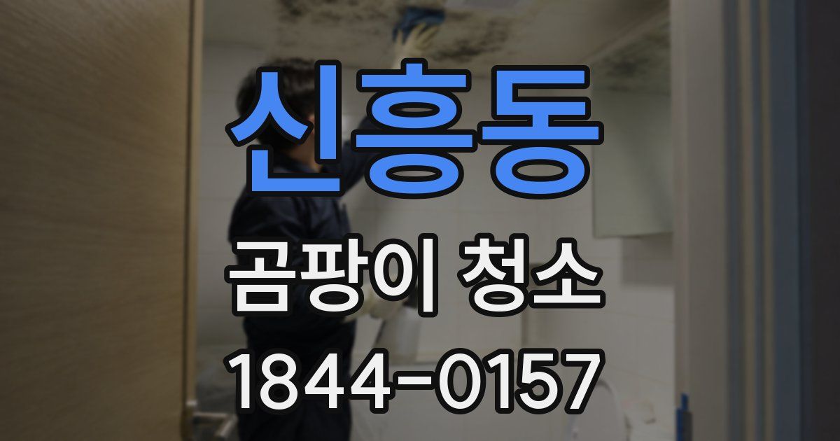 신흥동 곰팡이 청소