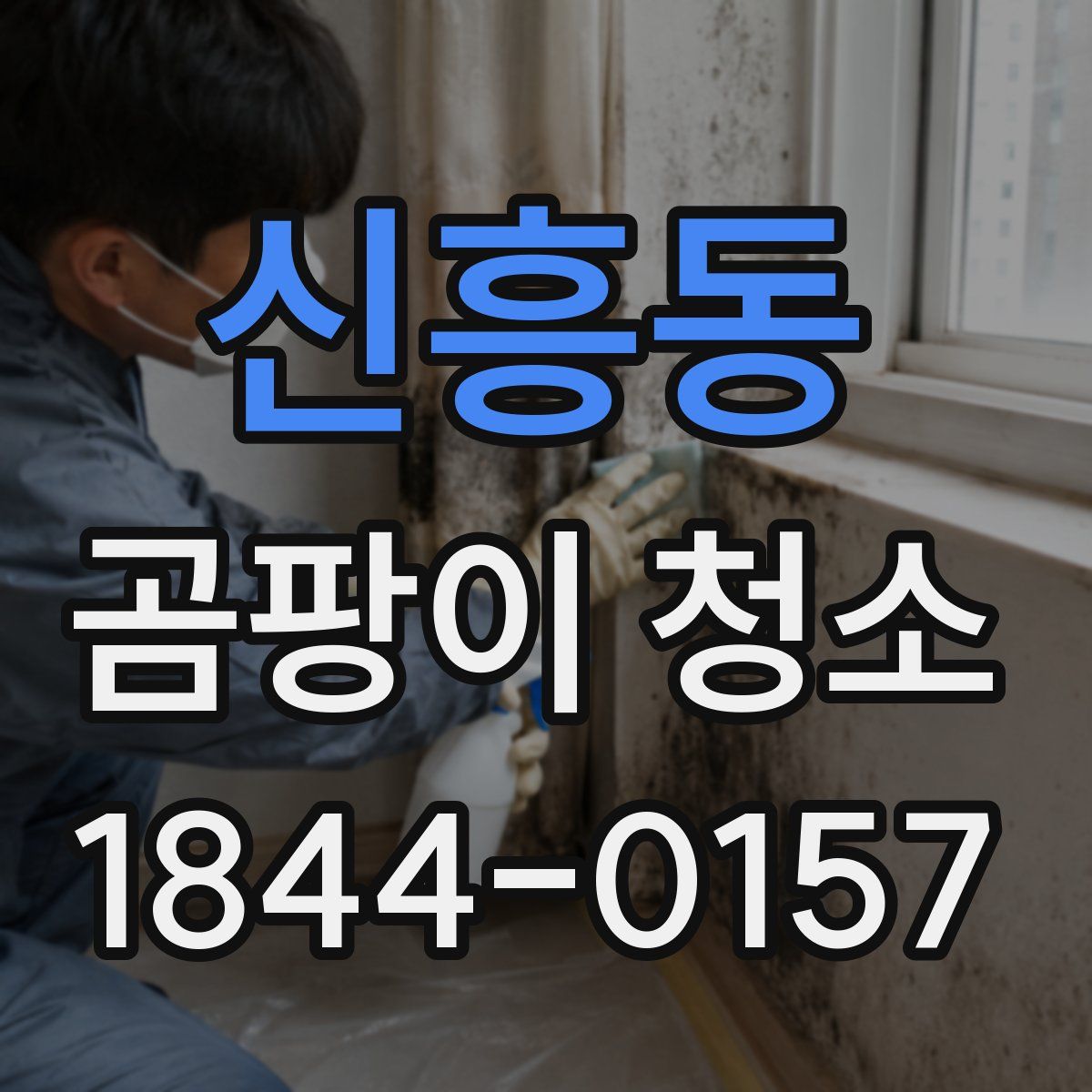 신흥동 곰팡이 청소