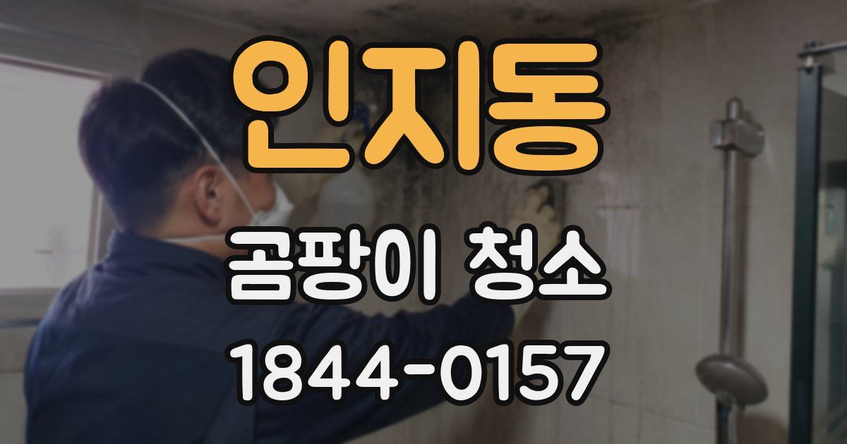 인지동 곰팡이 청소