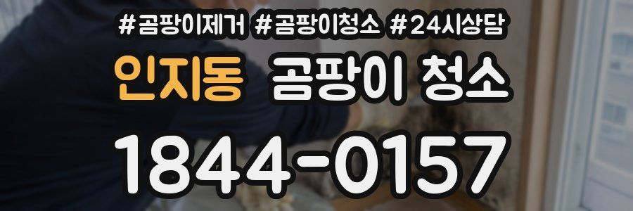 인지동 곰팡이 청소