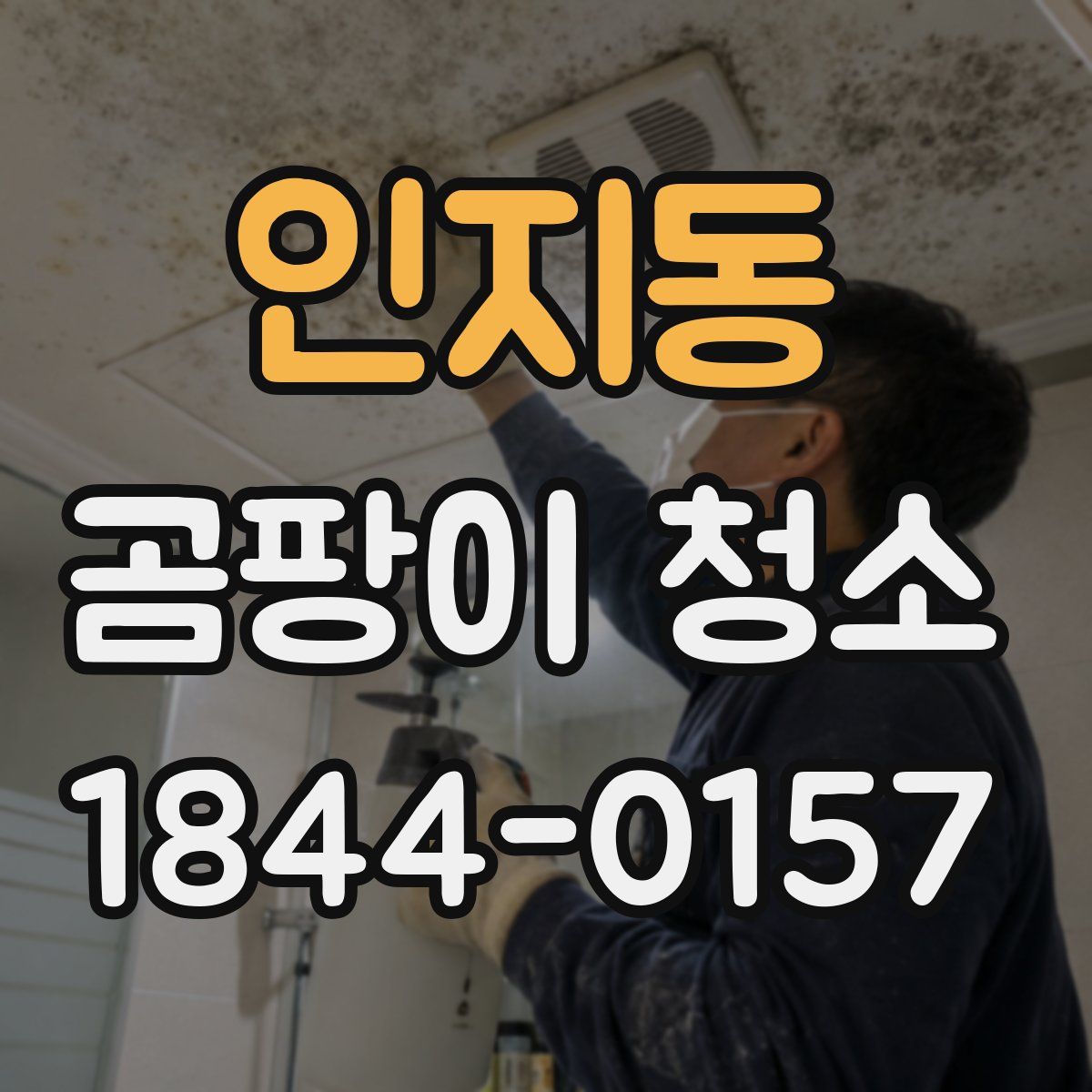 인지동 곰팡이 청소