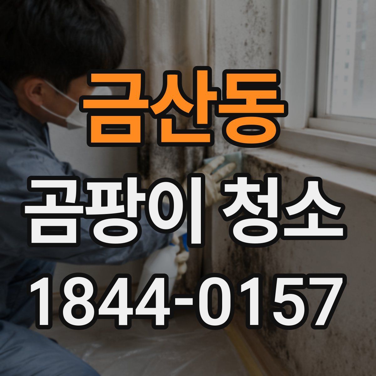 금산동 곰팡이 청소