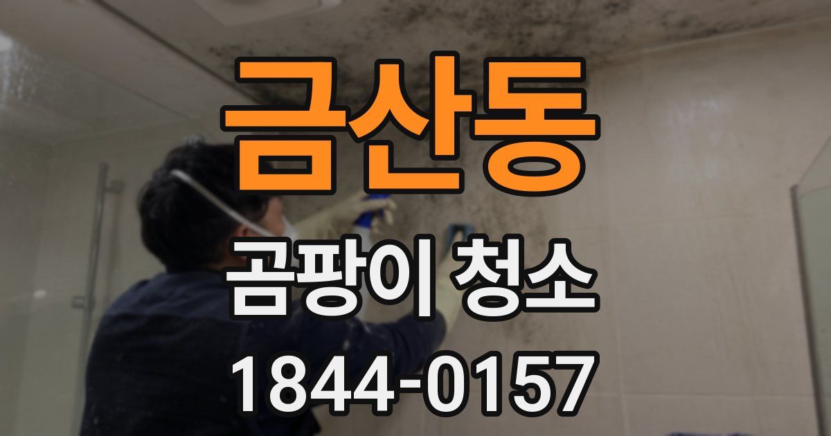 금산동 곰팡이 청소