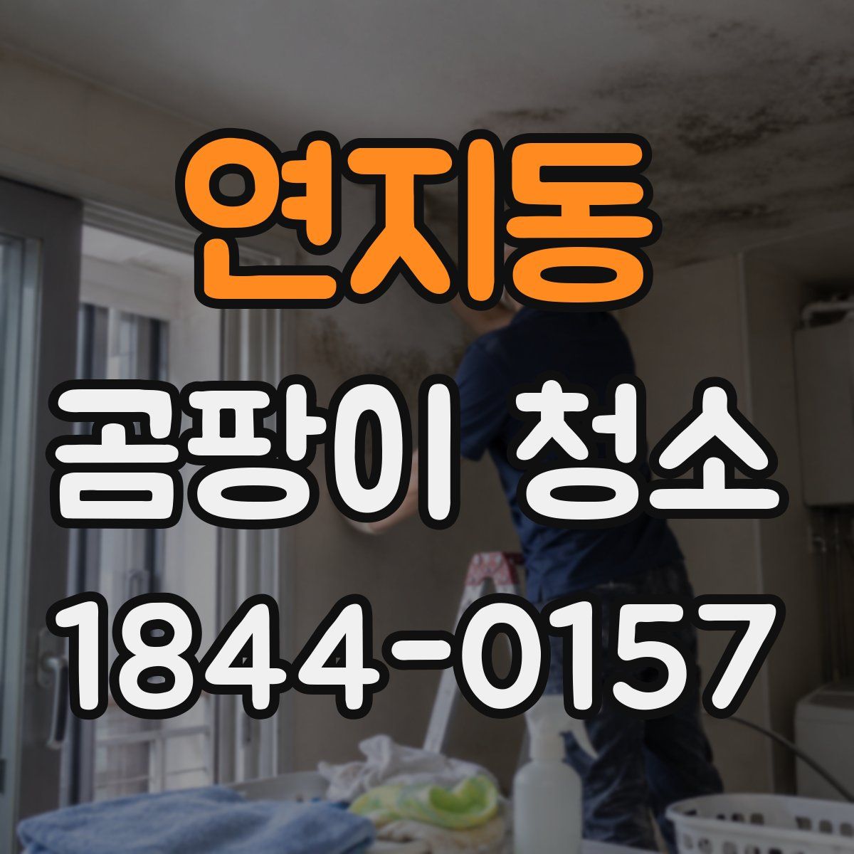 연지동 곰팡이 청소