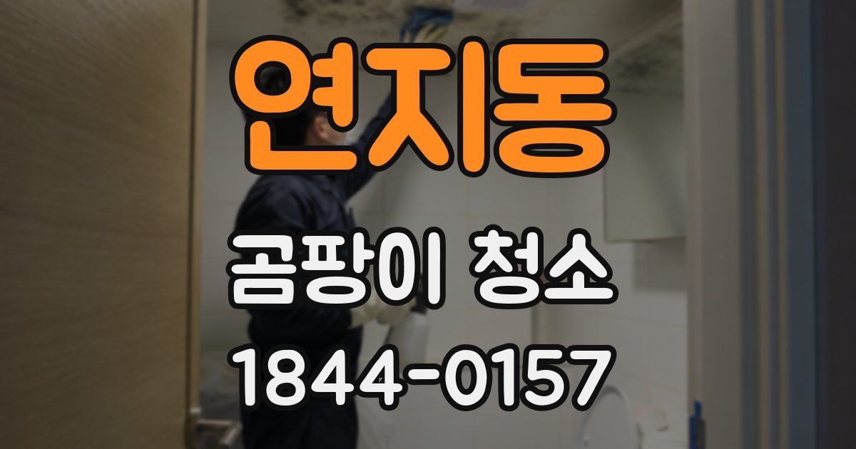 연지동 곰팡이 청소